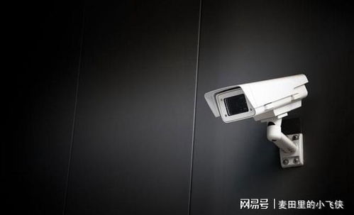 安防行業發展前景與資質機遇 監控施工領域的關鍵路徑